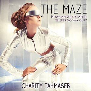The Maze