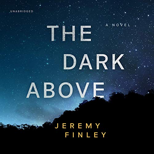 The Dark Above A Novel