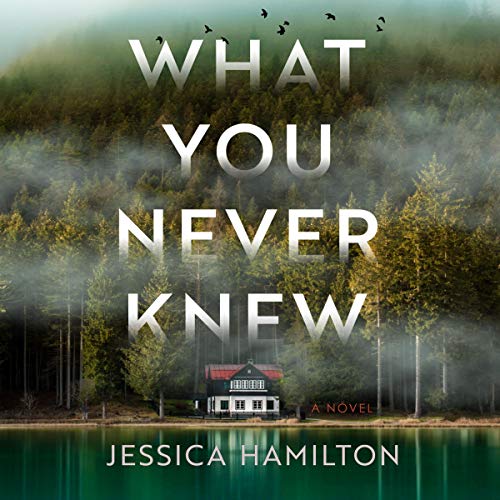 What You Never Knew by Jessica Hamilton