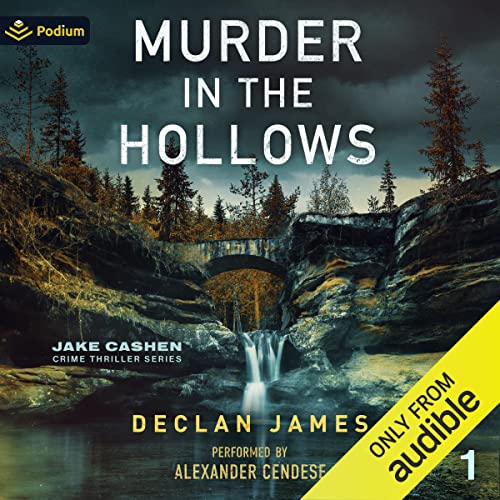 Murder in the Hollows by Declan James