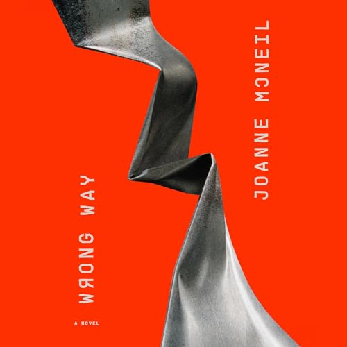 Wrong Way by Joanne McNeil